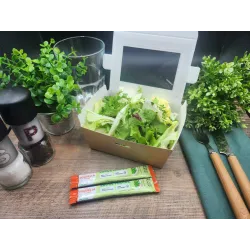 Boite Fraîcheur Salade Verte